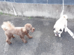 DSCF2116.JPG