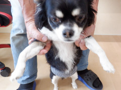 DSCF2149.JPG