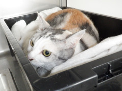 DSCF2140.JPG