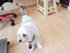 DSCF2160.JPG