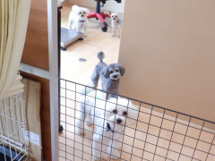 DSCF2168.JPG