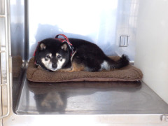 DSCF2172.JPG