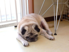 DSCF2174.JPG