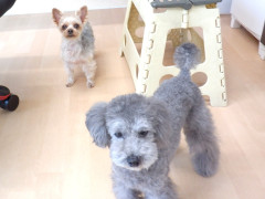 DSCF2180.JPG