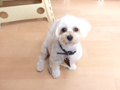 DSCF2202.JPG