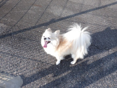 DSCF2214.JPG