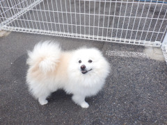 DSCF2233.JPG