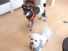 DSCF2237.JPG