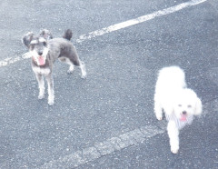 DSCF2263.JPG