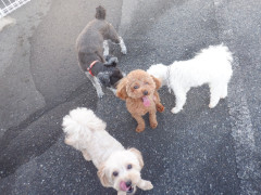 DSCF2252.JPG
