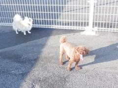 DSCF2258.JPG