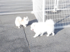 DSCF2241.JPG