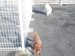 DSCF2257.JPG