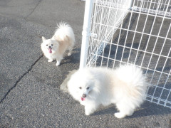 DSCF2276.JPG
