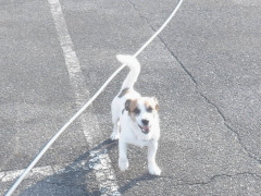 DSCF2281.JPG
