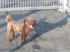DSCF2280.JPG