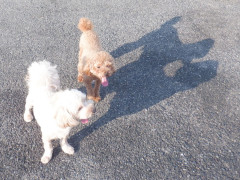 DSCF2279.JPG
