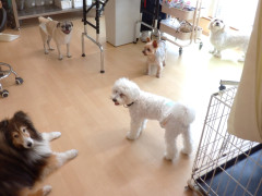 DSCF2294.JPG