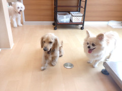 DSCF2307.JPG