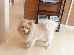 DSCF2332.JPG