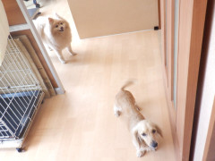 DSCF2329.JPG
