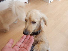 DSCF2334.JPG