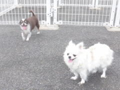 DSCF2351.JPG