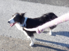 DSCF2354.JPG