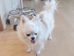 DSCF2361.JPG