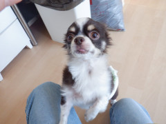 DSCF2372.JPG