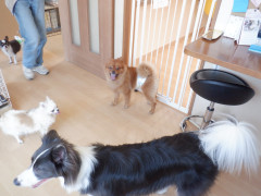 DSCF2383.JPG