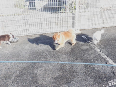 DSCF2406.JPG