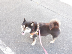 DSCF2414.JPG