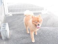 DSCF2437.JPG