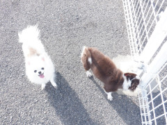 DSCF2422.JPG