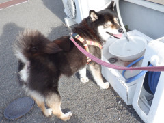 DSCF2418.JPG