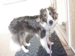 DSCF2428.JPG