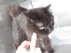 DSCF2444.JPG
