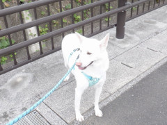 DSCF2465.JPG