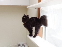 DSCF2477.JPG