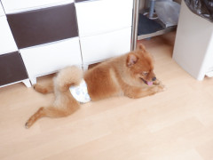 DSCF2483.JPG