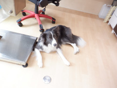 DSCF2489.JPG