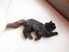 DSCF2511.JPG