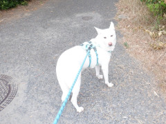 DSCF2505.JPG