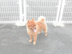 DSCF2504.JPG