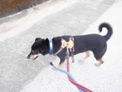 DSCF2497.JPG