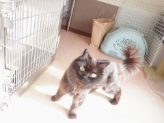 DSCF2522.JPG
