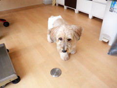 DSCF2546.JPG