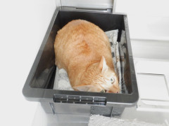 DSCF2531.JPG