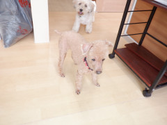 DSCF2539.JPG